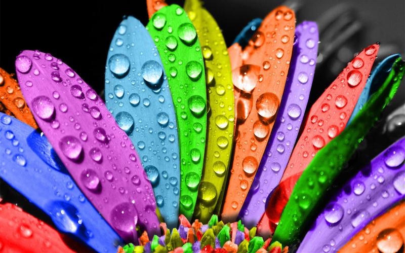 Corporate Gifts - Make them smile!